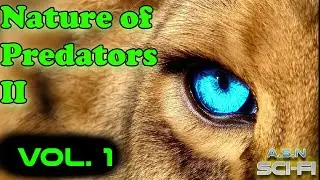 Nature of Predators - Book 2 - Volume 1 | HFY | Series
