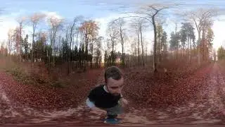 360&deg; / VR - Running through german forest / Waldlauf