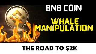 Bnb Price News 2022 Analysis and Price Predictions
