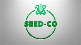 SC Duma 43 silage farming testimonial (snippet) - Mkulima Stanley Kirwa from Kitale #SeedCo