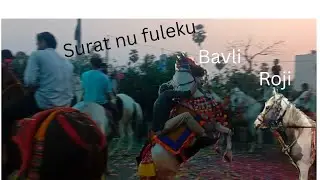 Surat nu fuleku💥💥#kathiyawadighoda##fuleku##kudvavalaghoda#horse 