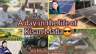 We got CM Punjab Maryam Nawaz's Green tractor & solar panel|Killed a snake in the field|Village life