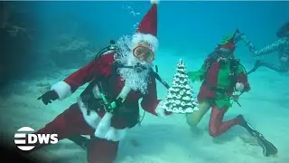 Santa Goes Scuba Diving in the Florida Keys for Festive Underwater Tradition | DWS News | AQ1N