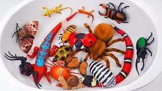 ZURU ROBO ALIVE COLLECTION | UNBOXING Robot Tarantula, New Robo Alive Giant creepers | ASMR