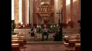 Oprawa Muzyczna Ślubu Szczecin - Trio Con Fetti