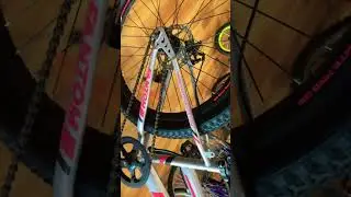 FANTOM LILY 24T women model STEPONCYCLES- 6369435313