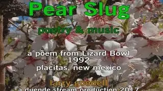 Pear Slug -  a Poem with Music