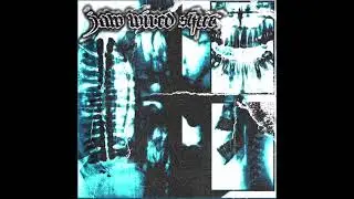Jaw Wired Shut - ST EP 2025 (Full EP)