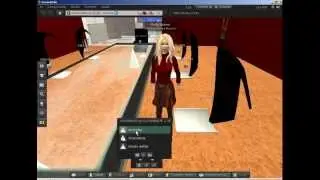 Simulaci&oacute;n de una reuni&oacute;n virtual de la BUS en Second Life