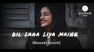 Peaceful Night sad💔Lofi Mashup | Calm Music DIL LAGA LIYA MAINE (Slowed+Reverb)