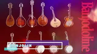 Plectrum, Tenor, 5-String Banjos, Archtop Mandolin, Mandocello, Mandola VST VST3 AU EXS KONTAKT nki