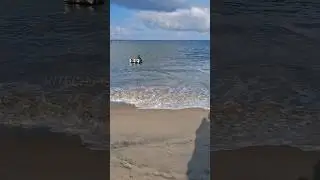 Alappuzha beach fishing 🔥 #petfood #food #freefire #freefire #shortvideo #video