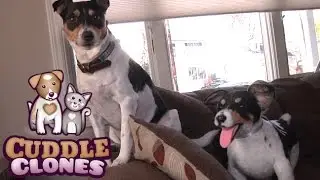 Cuddle Clones from Cuddle Clones