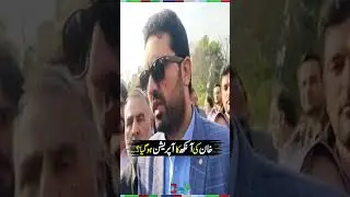Sohail Afridi Big Statement About Imran Khan's Health | #imrankhan #sohailafridi #shorts