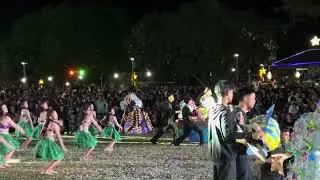 Clarendon's Festival of Lights 2025