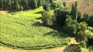 Borred&agrave;
