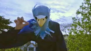El pájaro - Vale Acevedo (Visual Albúm) ♫