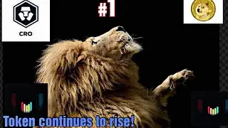 CRO CRYPTOCOM UPDATE! DOGECOIN UPDATE MAYBE IT WILL HIT 1 DOLLAR ,CRO MASSIVE GAINS HOLDING!
