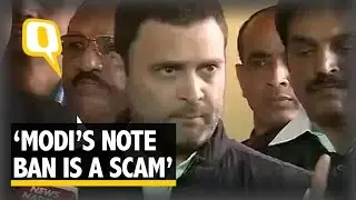 The Quint: Rahul Gandhi Calls Demonetisation a Scam