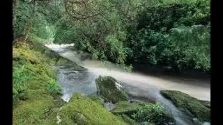 John McCormack ~ My Lagan Love. 1910