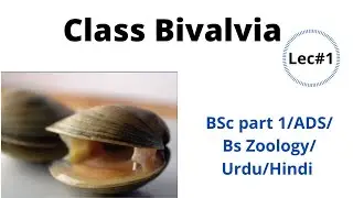 Class Bivalvia/shell & Gas Exchange/BSc part 1/ADS/BS/Urdu/Hindi