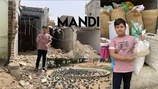 Multan Birds Market Finish 😢Birds Kidhr Sa Lan?