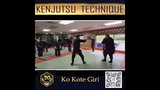 Kenjutsu Technique - The Dojo Martial Arts
