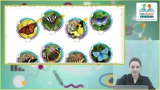 Ch 4  | Fun Buddy Books | GK | Class 7 | World of Butter􀏐lies | For children