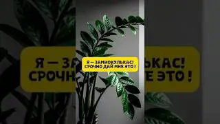 Артикул на вб: 320485363 #удобрения #домашниерастения #Evoxinex