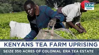Kenyan Farmers Reclaim Colonial‑Era Tea Lands in Standoff | DRM News | AM1B
