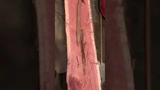 #cedar wood #outdoors #life