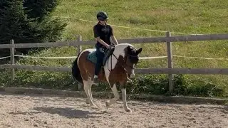 Mein erster Reitvlog🫶🏼