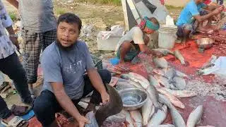 From Ocean to Kitchen Full Fish Cleaning and Cutting Process in One Video