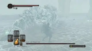 DARK SOULS II: Aava, The Kings Pet