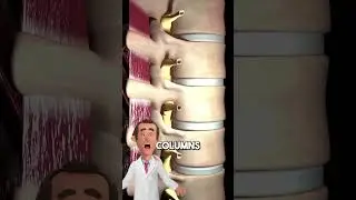 What is a bulging disc? follow @drpickle.phd for MORE ‼️#shorts #doctor #health #love #subscribe