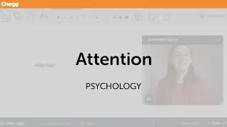 Attention | Psychology | Chegg Tutors