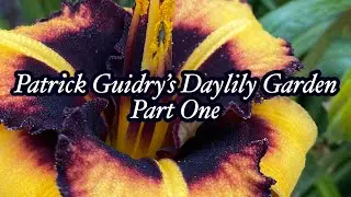 Patrick Guidry&rsquo;s Daylily Garden 2020 Visit Part One