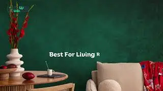 Teal Green Concrete Unique Peel and Stick Wallpaper for Modern and Stylish Home and Office Wall Deco