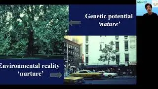 Creating the Sustainable Urban Landscape