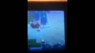 how to catch cottonee pokemon black 2