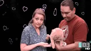 Q101.9 - Rez Q Pet Chandler 3/29/2012