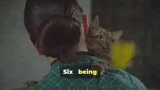 10 Things Cats Hate 😕