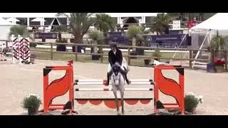 🐎 Cavalla KWPN &ndash; in vendita | Femmina 2014 | 168 cm | Categoria 135