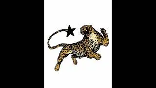 (FREE) BOOM BAP TYPE BEAT 
