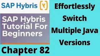 how to switch between the multiple java versions(jdk) | change java version in cmd | sap hybris
