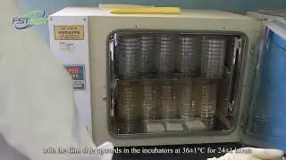 FSTest Aerobic Count Plate