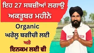 &ldquo;ਅਕਤੂਬਰ ਵਿੱਚ ਕਿਹੜੀਆਂ ਸਬਜ਼ੀਆਂ ਬੀਜੀਏ 🌱 | October me konsi sabji lagaye | Vegetable Tips 2025&rdquo; ✅