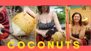 How to cut coconut meat out of shell & for water with machete | Eat And Be Eaten HAWAII
