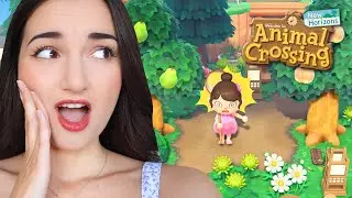 Objectif 100% (mais le jeu me respecte pas...) 🤣 | Rediff Live | ACNH