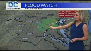 Wednesday, June 5th, 2024: Jackie Layer's DMV Forecast: Scattered PM storms, locally heavy rain